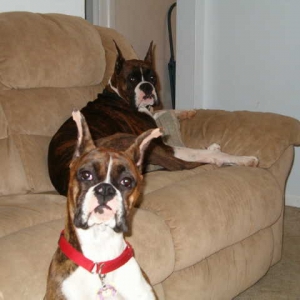 Diesel and Daisy