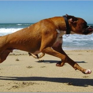 A day at the beach