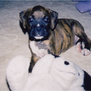 Reese at 8 weeks