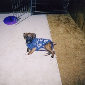 Reese with her sweater