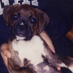 Reese at 4 months