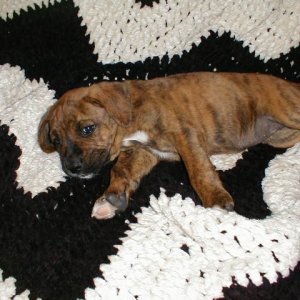 our lacie