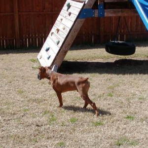 Where's that fly?
