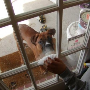 Let me in...