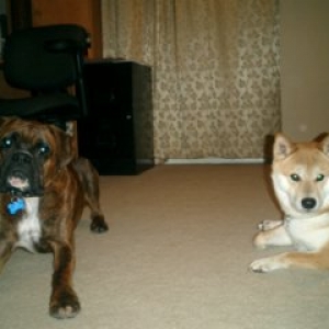 Best Friends