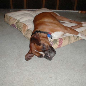 J.C.'s first night home