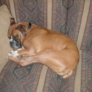 Comfy!