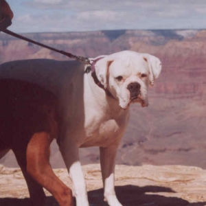 Blake at the Grand Canyon