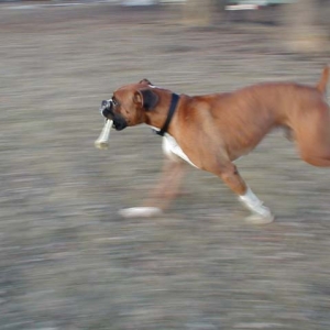 Mine!
