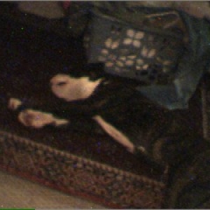 knocked out