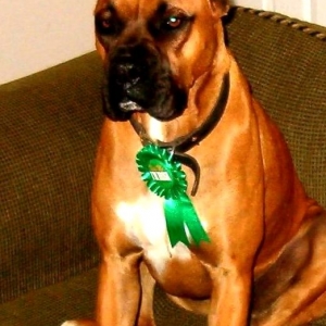 Happy St. Patrick's Day