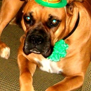 Happy St. Patrick's Day