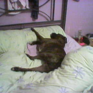 DONT_WAKE_ME
