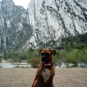 My first picture posted