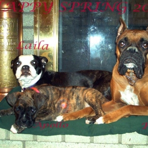 HAPPY SPRING 2004