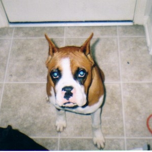 I'm so innocent.