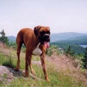 top of the mountain