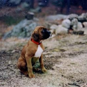my first snow