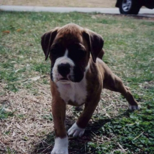 Cute at 7 weeks