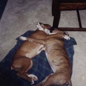 Too Sweet