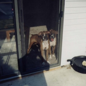 The Greeters