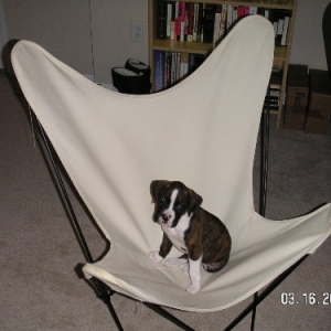 chair2