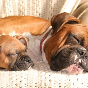 Nap Time