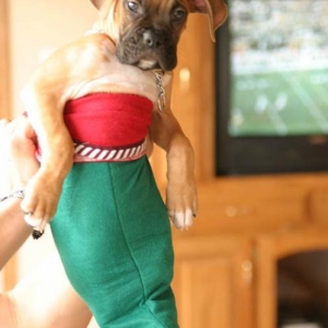 Merry Chirstmas!!