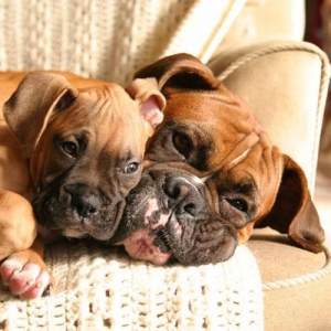 Wanna Cuddle?
