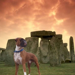 Cy at Stonehenge (sort of)