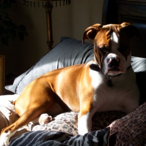 My_Zeus