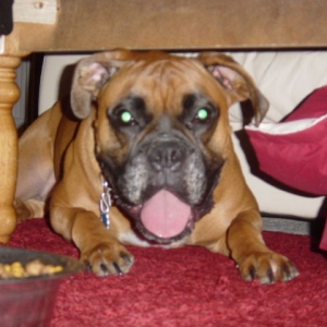 Awww....let me eat!