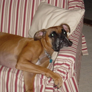 Relaxin.....oh yea!