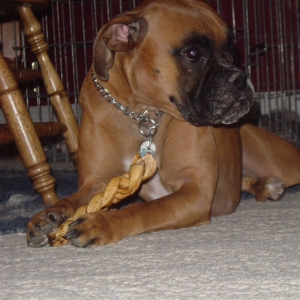 OH NO! Don't mess with my toy!