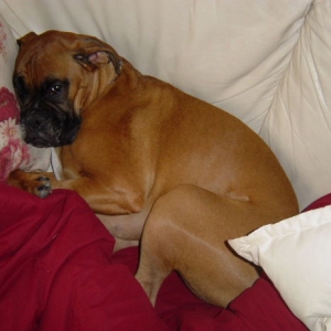 Sleepy baby.......