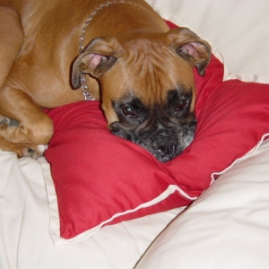 I know it....I am cute....what can I say!!!