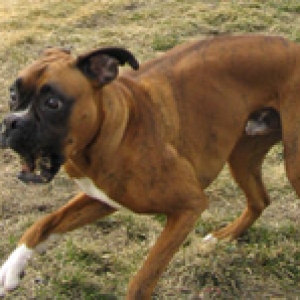 I just saw a GHOST!!!