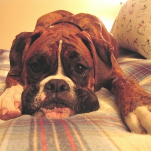 It's MY bed