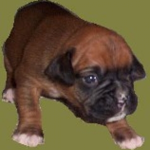 Lelya @ 2 Weeks
