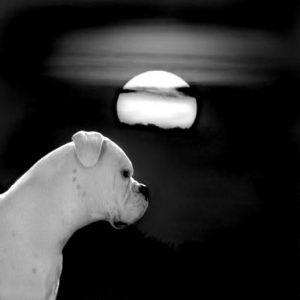 I am so shine under the moon!