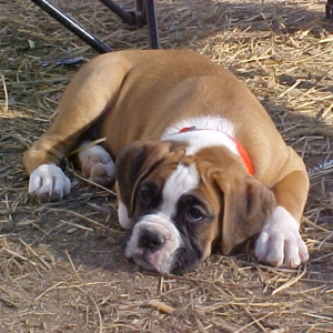 Just so Cute