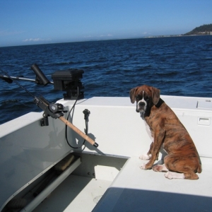 Boating  fun