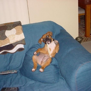 Just chillin