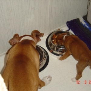 tuffy_011
