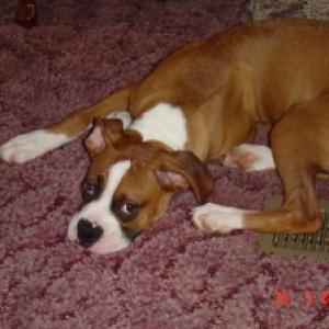 waiting on daddy to get home