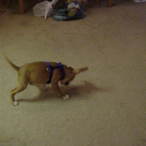 Shadow boxing