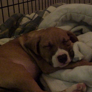 my angel sleeping