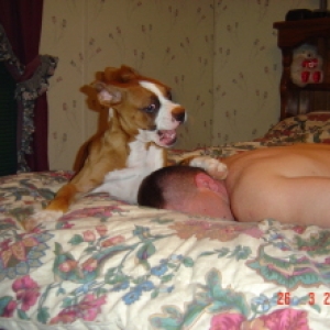 get up or i'l bite your ear off