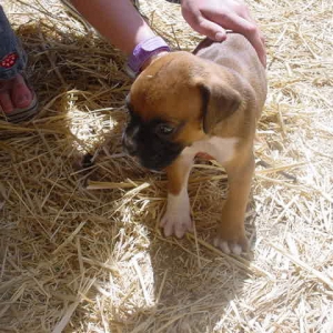 luckt is 5 weeks old