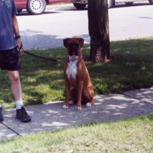 out for a walk